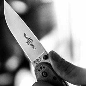 Rat Folder 1 (8848)